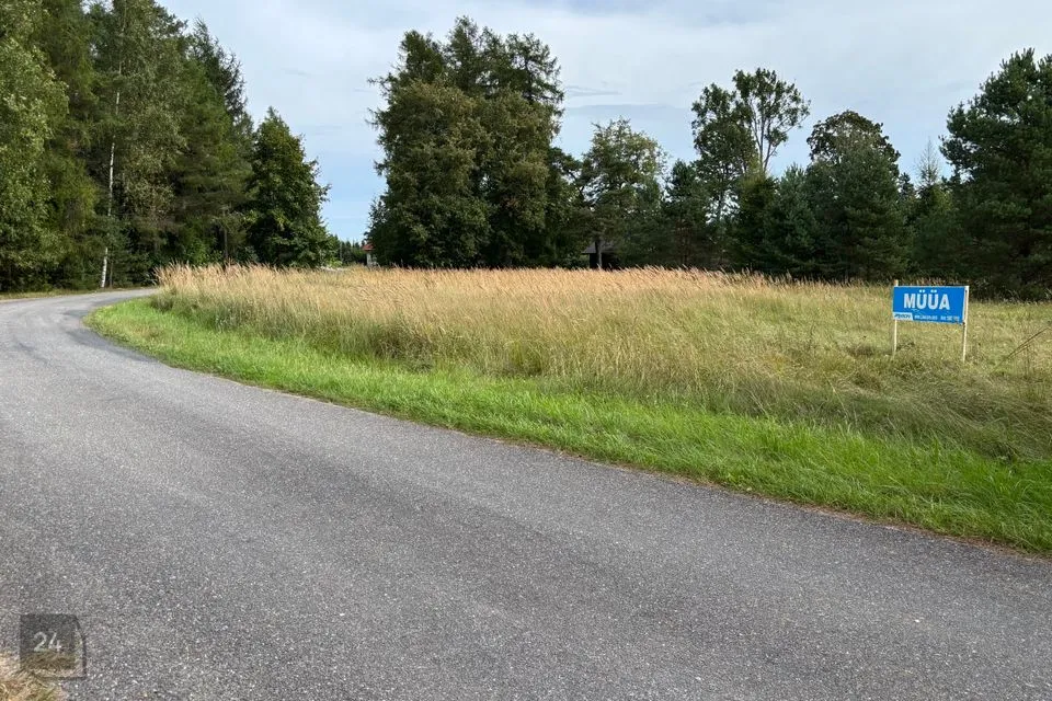 Maatulundusmaa, 6951 m² Maa  -  Türi vald, Kolu küla - foto 2