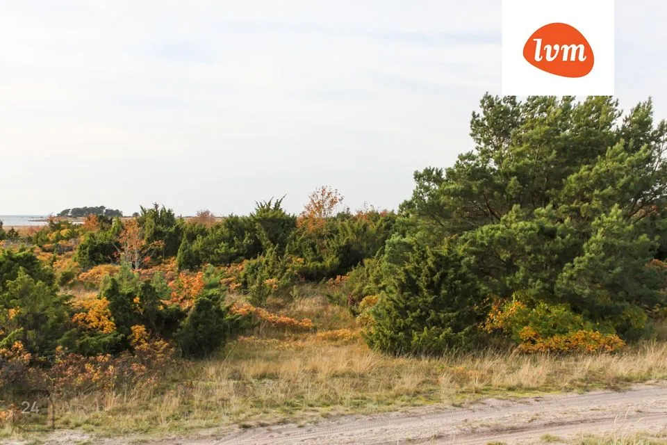 Maatulundusmaa, 5798 m² Maa - Viimsi vald, Kelnase küla