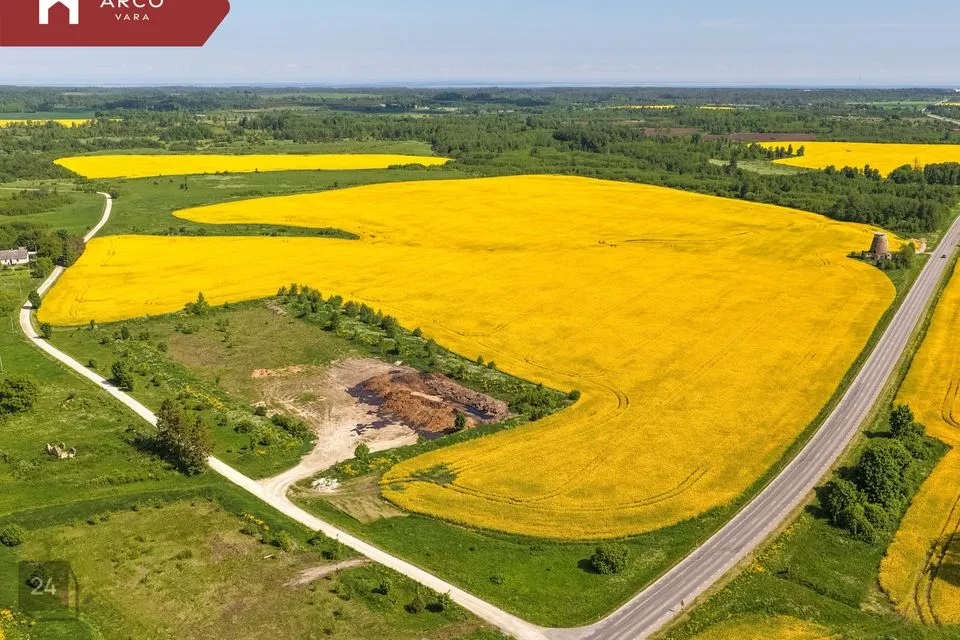 Maatulundusmaa, 1005100 m² Maa - Rakvere vald, Andja küla