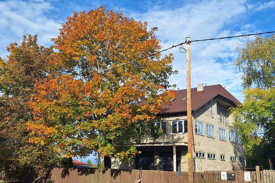 10-toaline Maja  -  Tallinn, Põhja-Tallinna linnaosa