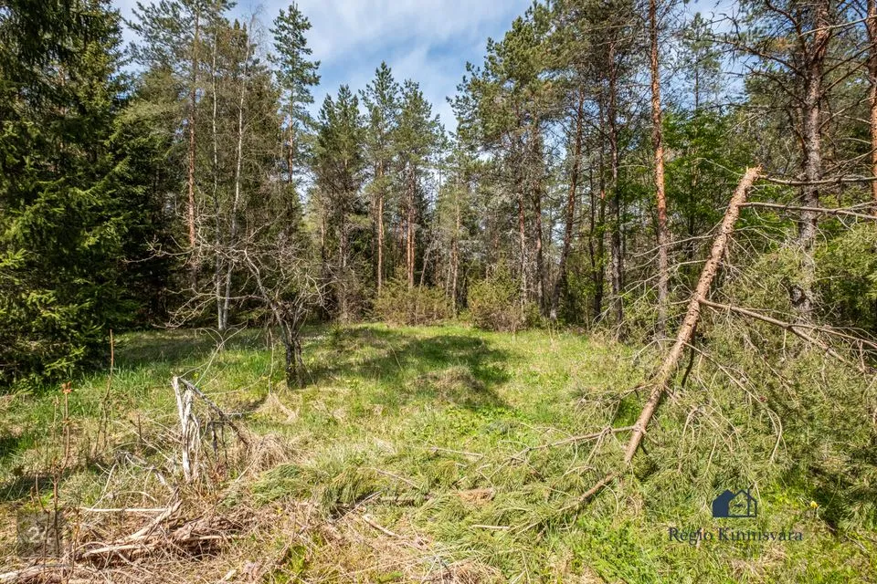 Maatulundusmaa, 10113 m² участок в Lääne-Harju vald, Maeru küla - фото 2