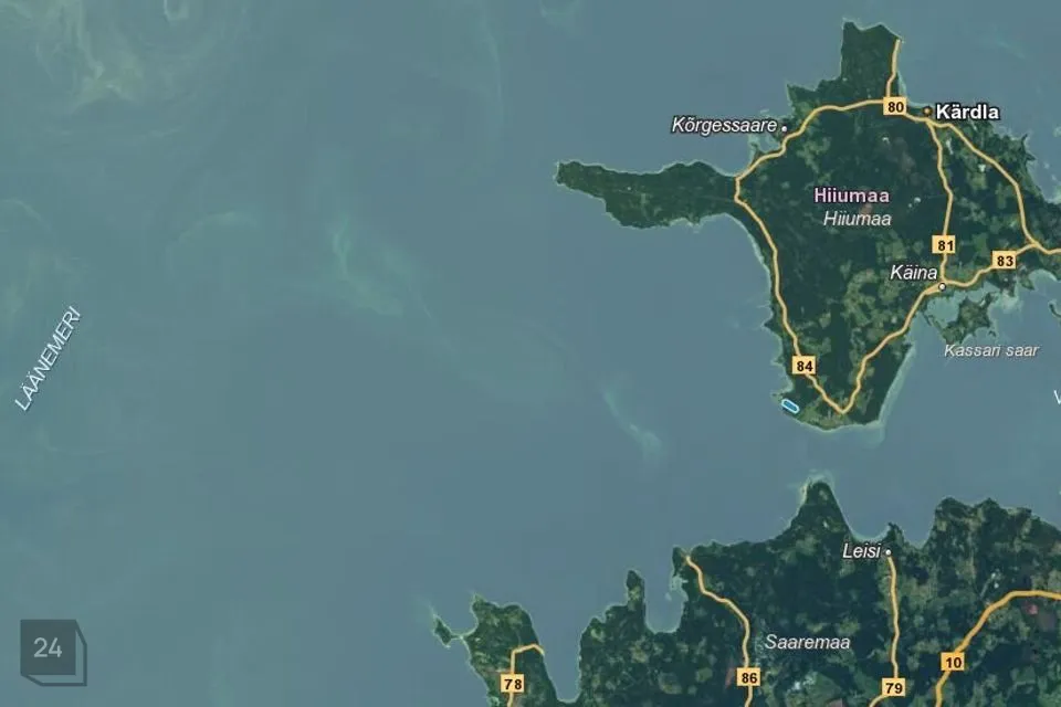 Cultivated land, 98789 m² land in Hiiumaa vald, Tohvri küla - photo 4