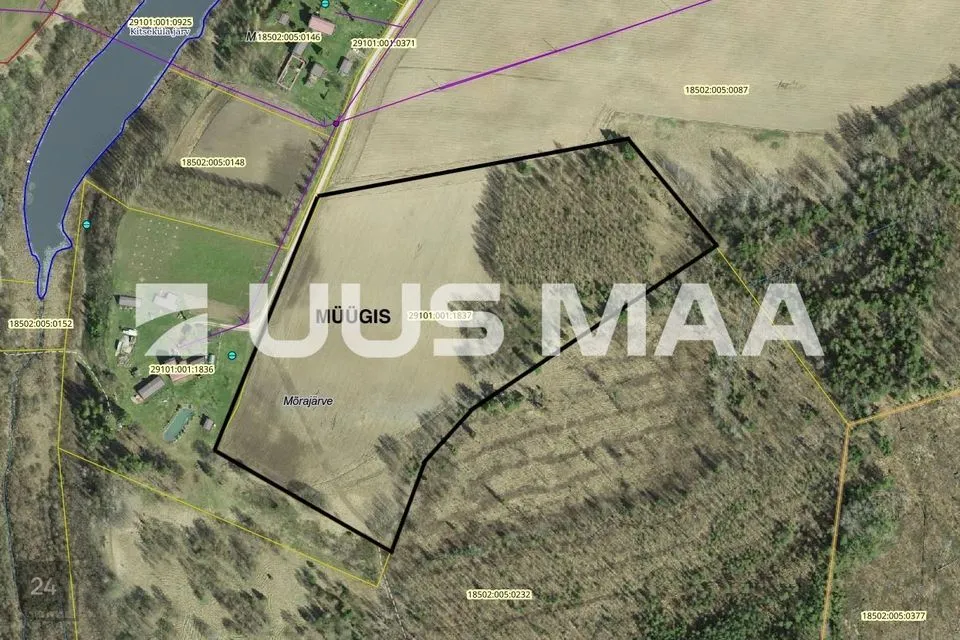 Maatulundusmaa, 48744 m² Maa - Kastre vald, Kitseküla