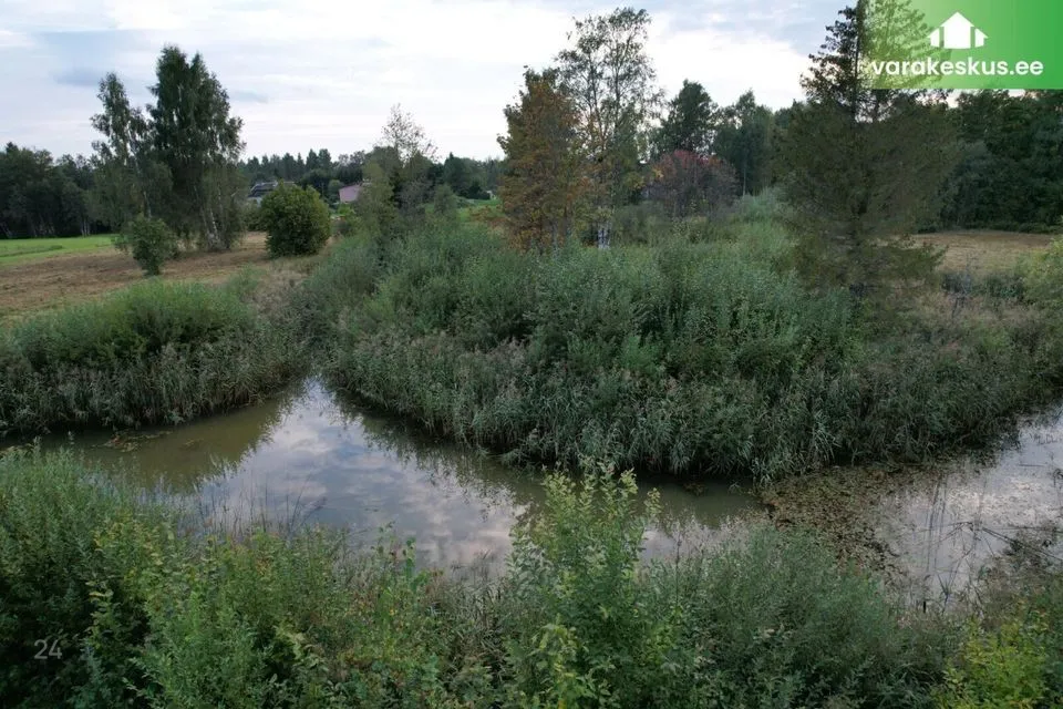 Maatulundusmaa, 15011 m² участок в Rapla vald, Ülejõe küla - фото 3