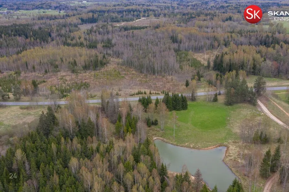 Cultivated land, 6441 m² land in Otepää vald, Nüpli küla - photo 4
