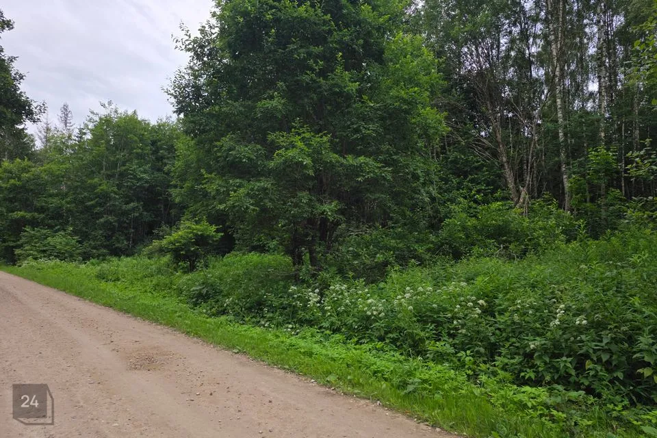 Maatulundusmaa, 100712 m² Maa  -  Rapla vald, Hagudi küla - foto 3