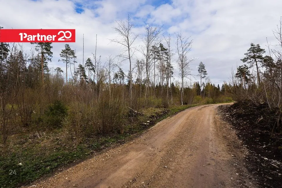 Cultivated land, 17306 m² land in Kohila vald, Urge küla - photo 4