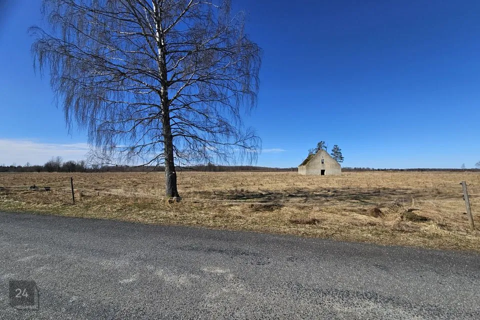 Maatulundusmaa, 391602 m² участок в Haljala vald, Vihula küla - фото 2