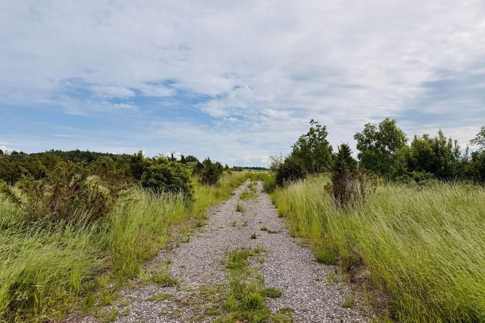 Elamumaa, 20168 m² Maa  -  Harku vald, Adra küla - foto 4