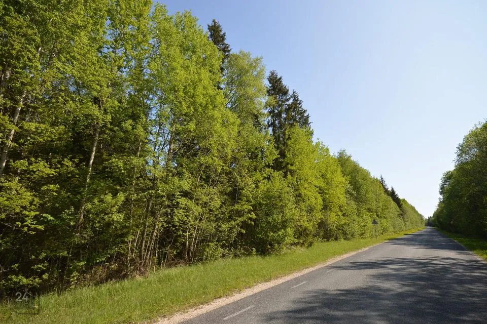 95000 m² участок в Saue vald, Lehetu küla - фото 2