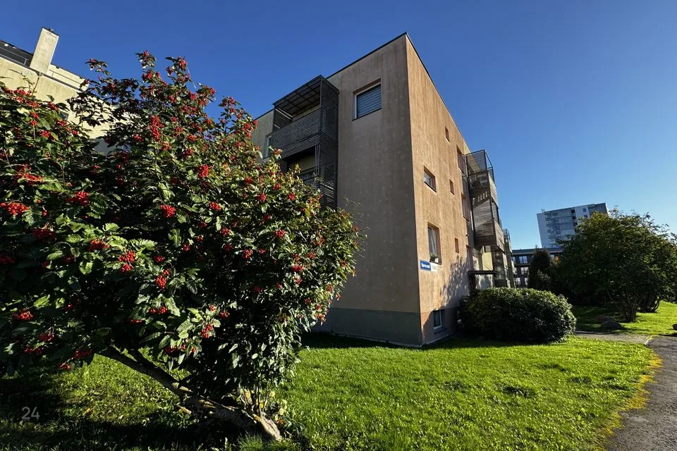 1-toaline Korter  -  Tallinn, Lasnamäe linnaosa - foto 2