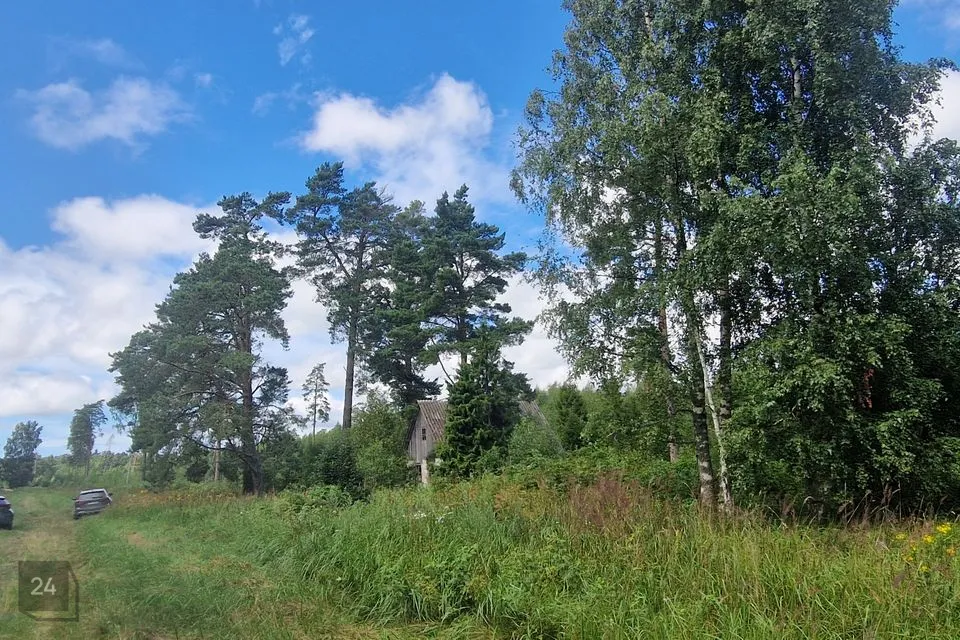 Maatulundusmaa, 40815 m² Maa - Hiiumaa vald, Prassi küla - foto 2