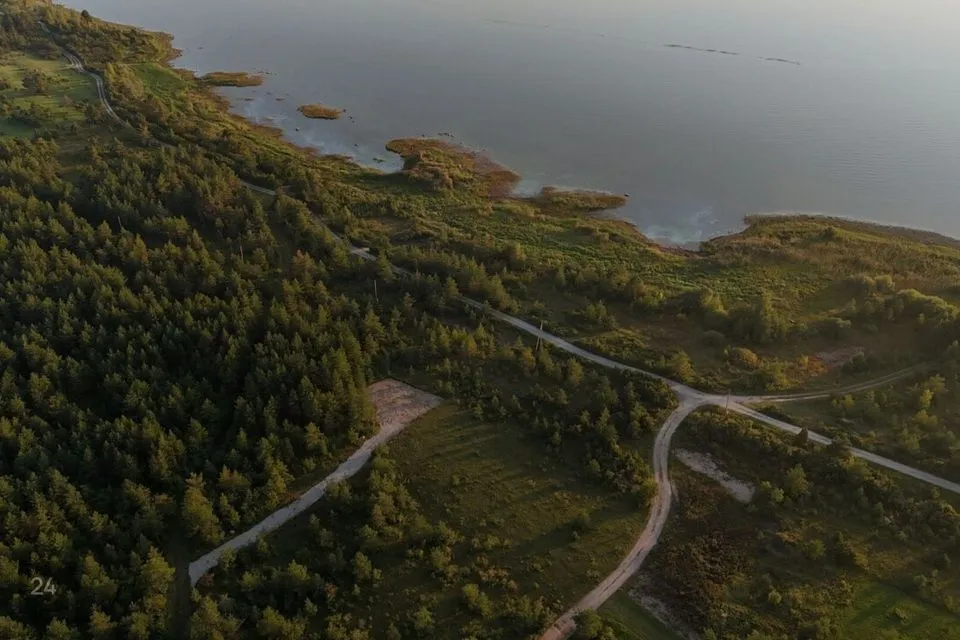 Maatulundusmaa, 40602 m² Maa - Lääneranna vald, Esivere küla - foto 3