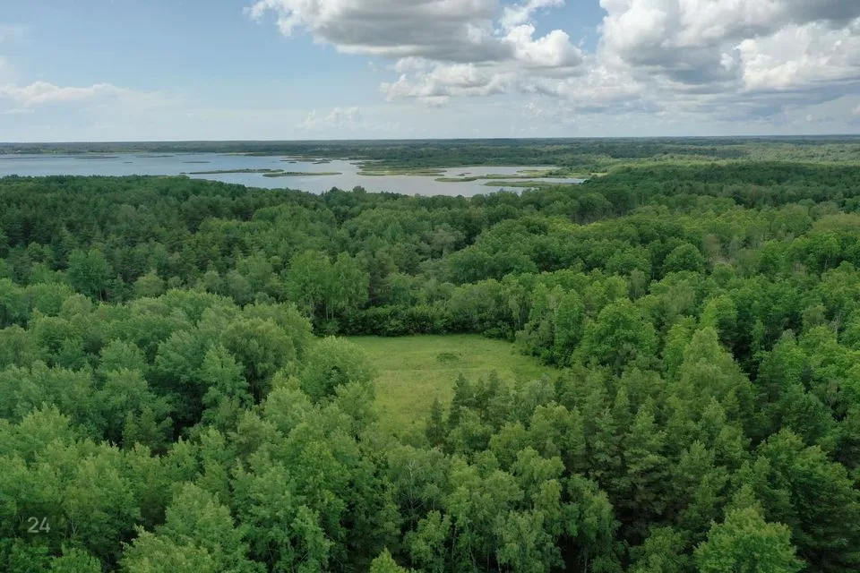 Maatulundusmaa, 89800 m² Maa - Saaremaa vald, Kõiguste küla - foto 3