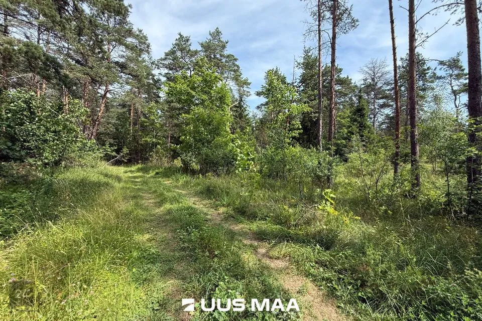 Elamumaa, 2930 m² Maa  -  Lääne-Harju vald, Nahkjala küla - foto 4
