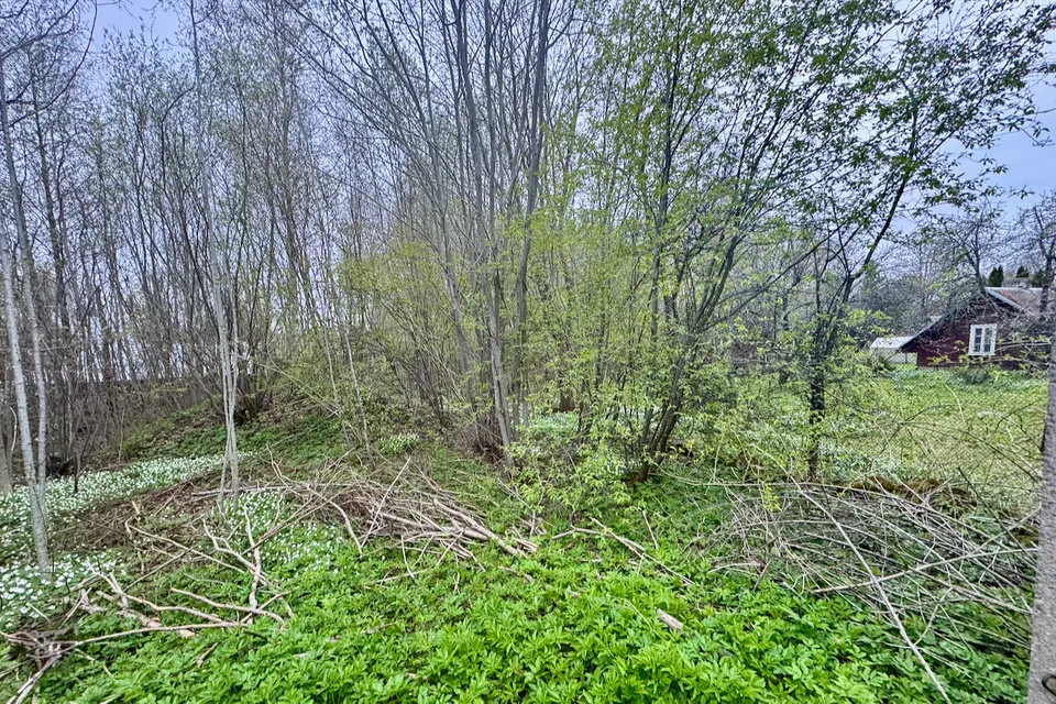 Земля жилой застройки, 1499 m² участок в Haapsalu linn, Tanska küla - фото 2