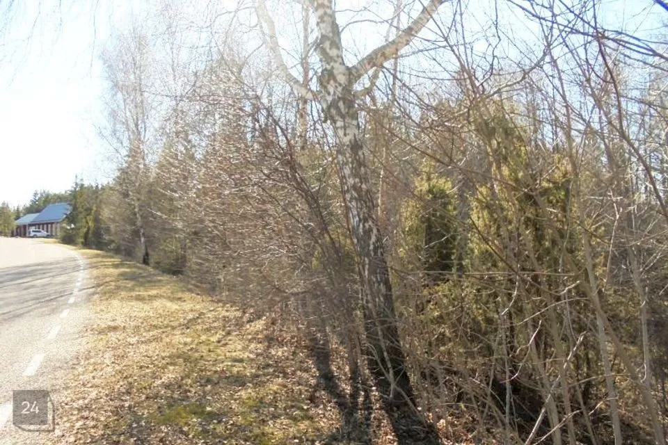 Elamumaa, 20020 m² Maa - Hiiumaa vald, Suuresadama küla - foto 2