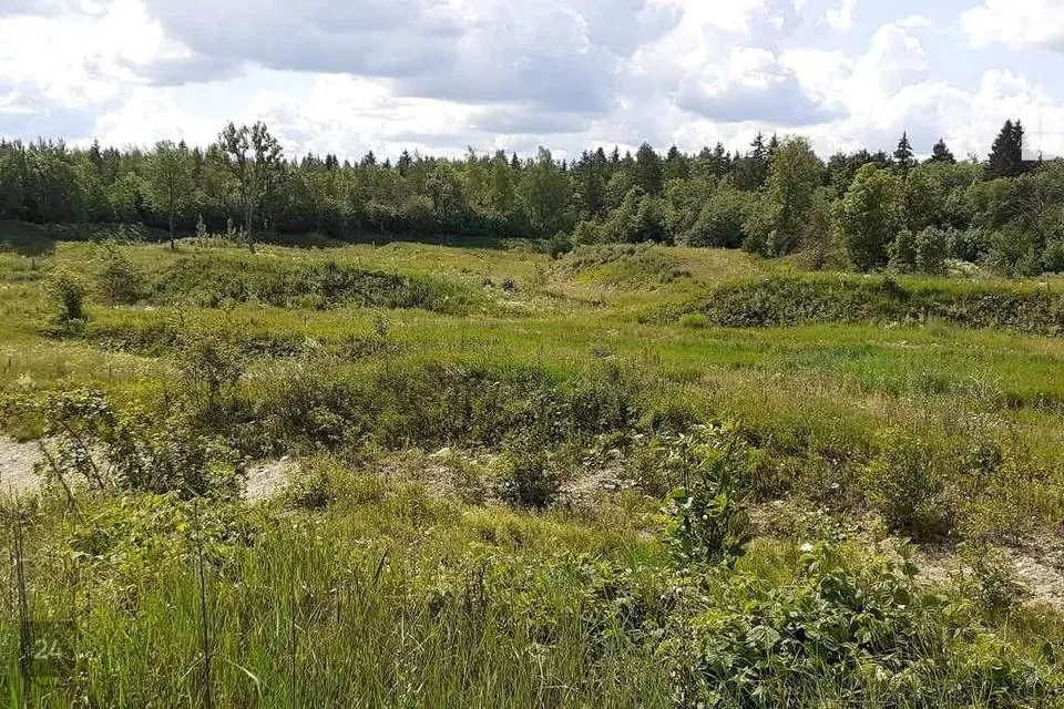 Maatulundusmaa, 43500 m² участок в Saue vald, Tuula küla - фото 4