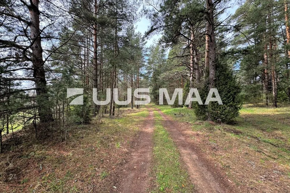 Земля производственного назначения, 2999 m² участок в Viru-Nigula vald, Pärna küla
