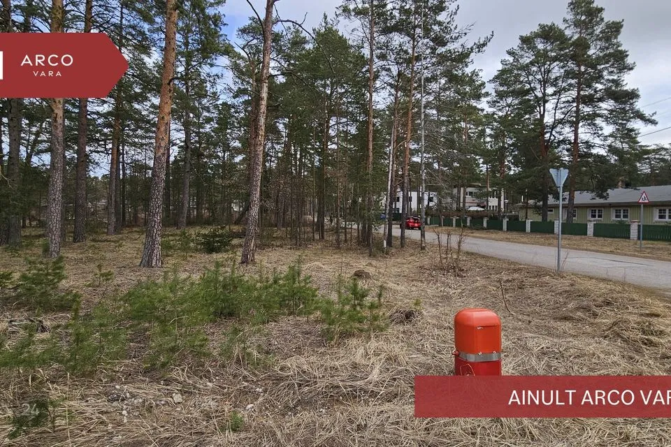 Elamumaa, 1255 m² Maa  -  Narva-Jõesuu linn, Narva-Jõesuu linn - foto 4