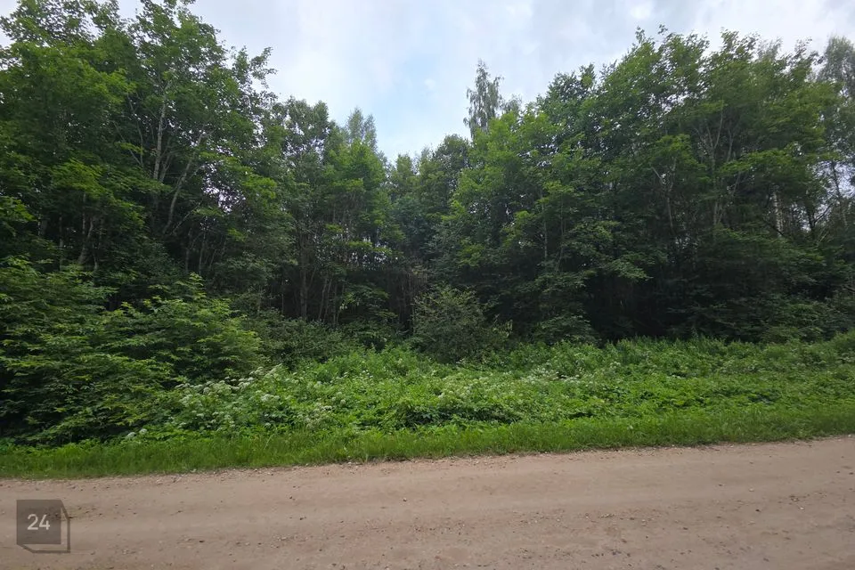 Maatulundusmaa, 100712 m² Maa  -  Rapla vald, Hagudi küla - foto 5