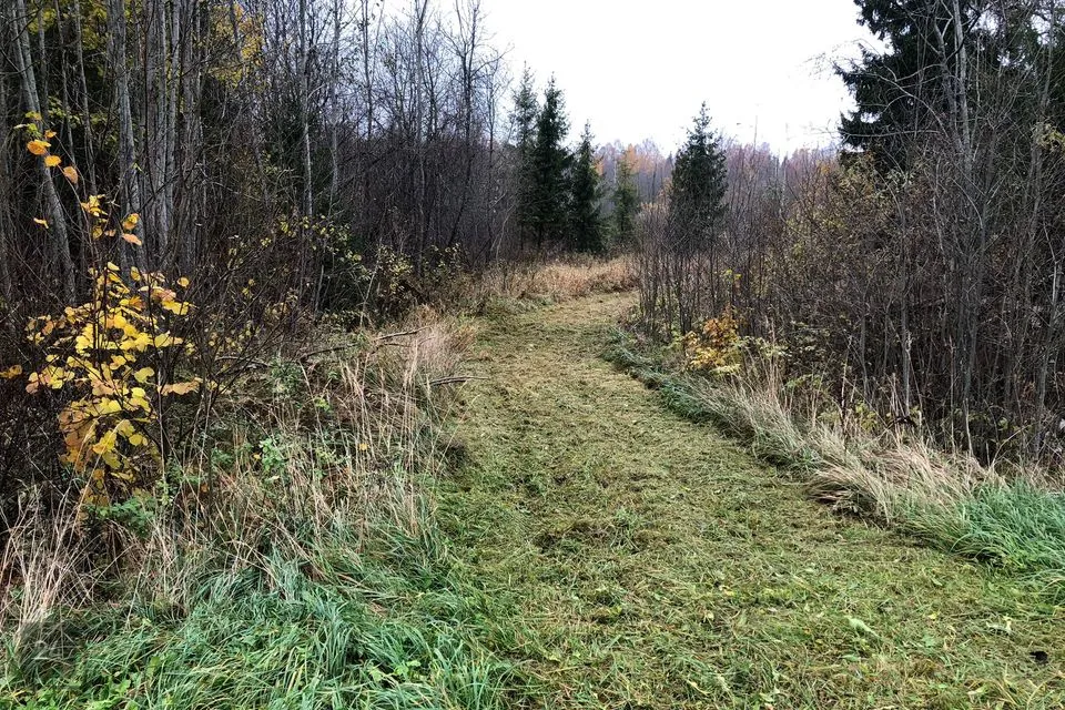 Elamumaa, 22840 m² Maa - Häädemeeste vald, Majaka küla - foto 3