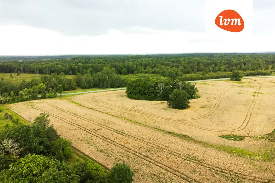 Maatulundusmaa, 30829 m² Maa - Saaremaa vald, Õha - foto 4
