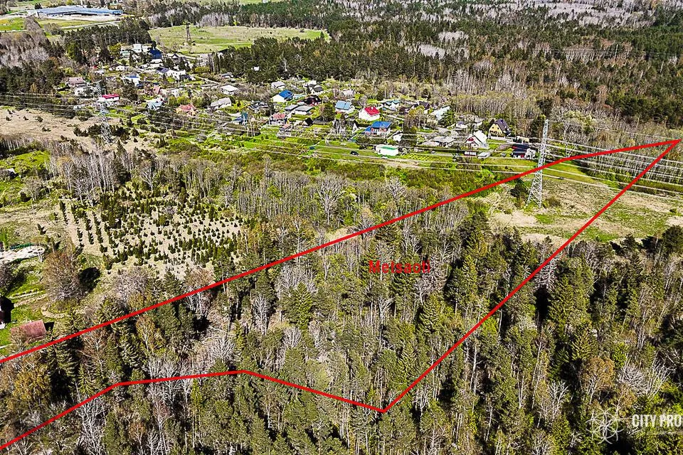 Maatulundusmaa, 20003 m² участок в Saku vald, Üksnurme küla - фото 2