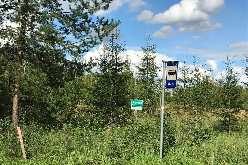 Maatulundusmaa, 37484 m² Maa  -  Türi vald, Rassi küla - foto 4