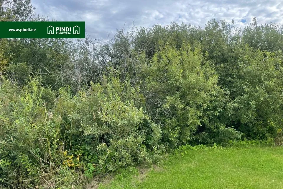 Elamumaa, 4048 m² Maa  -  Häädemeeste vald, Tahkuranna küla