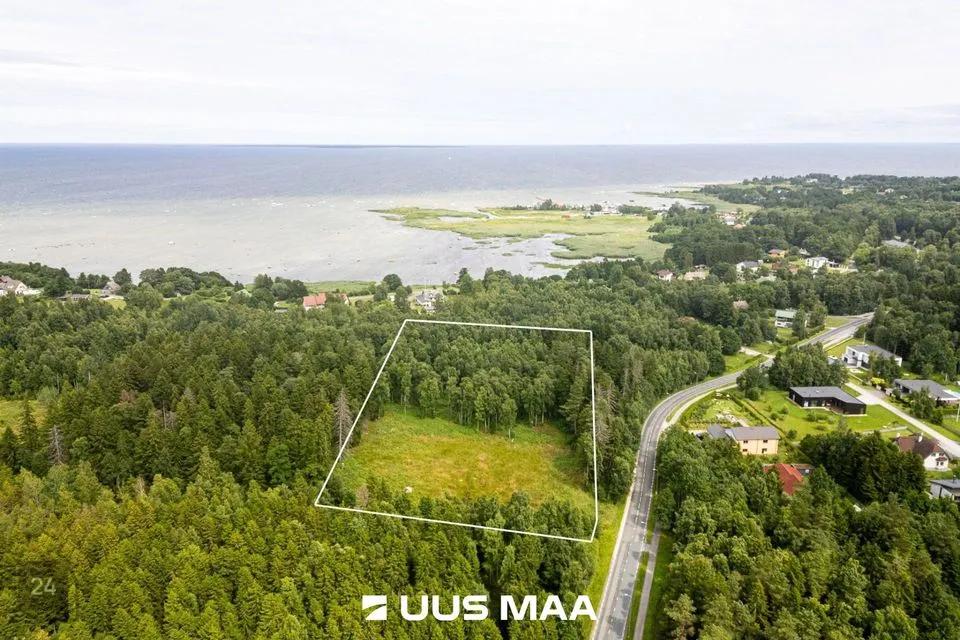 Maatulundusmaa, 12460 m² Maa  -  Viimsi vald, Leppneeme küla - foto 3