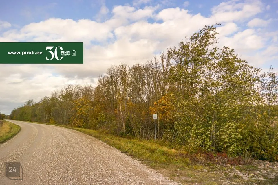 Maatulundusmaa, 10139 m² Maa  -  Lääneranna vald, Ullaste küla - foto 3