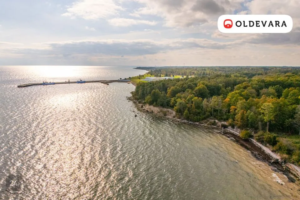 Elamumaa, 12034 m² Maa - Saaremaa vald, Mõntu küla