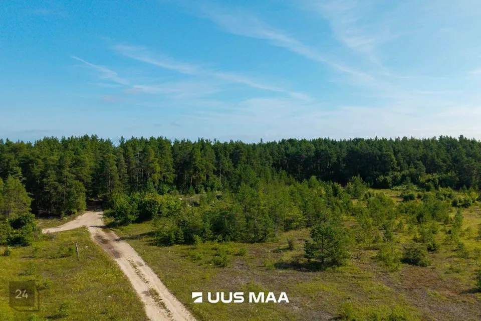 Maatulundusmaa, 52031 m² Maa - Saaremaa vald, Jaani küla - foto 4