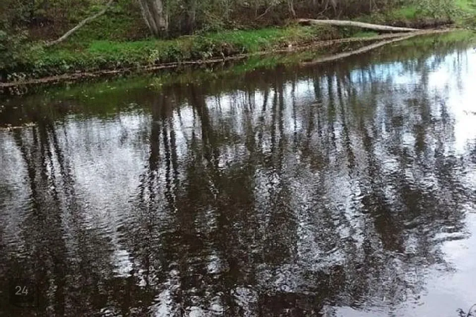 Elamumaa, 83614 m² Maa - Harku vald, Türisalu küla - foto 3