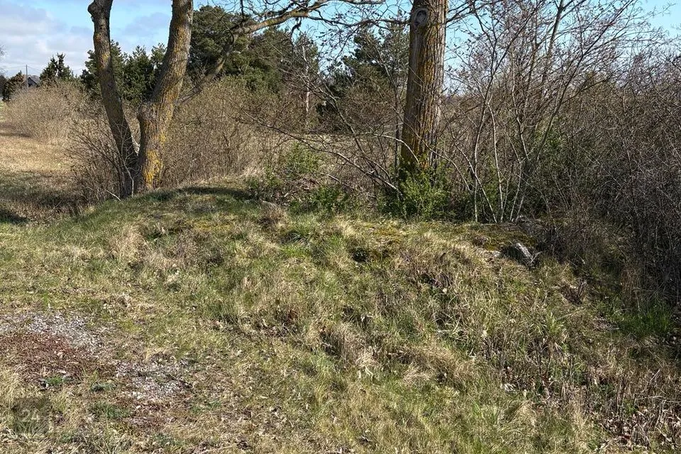 Elamumaa, 10000 m² Maa - Hiiumaa vald, Harju küla - foto 5