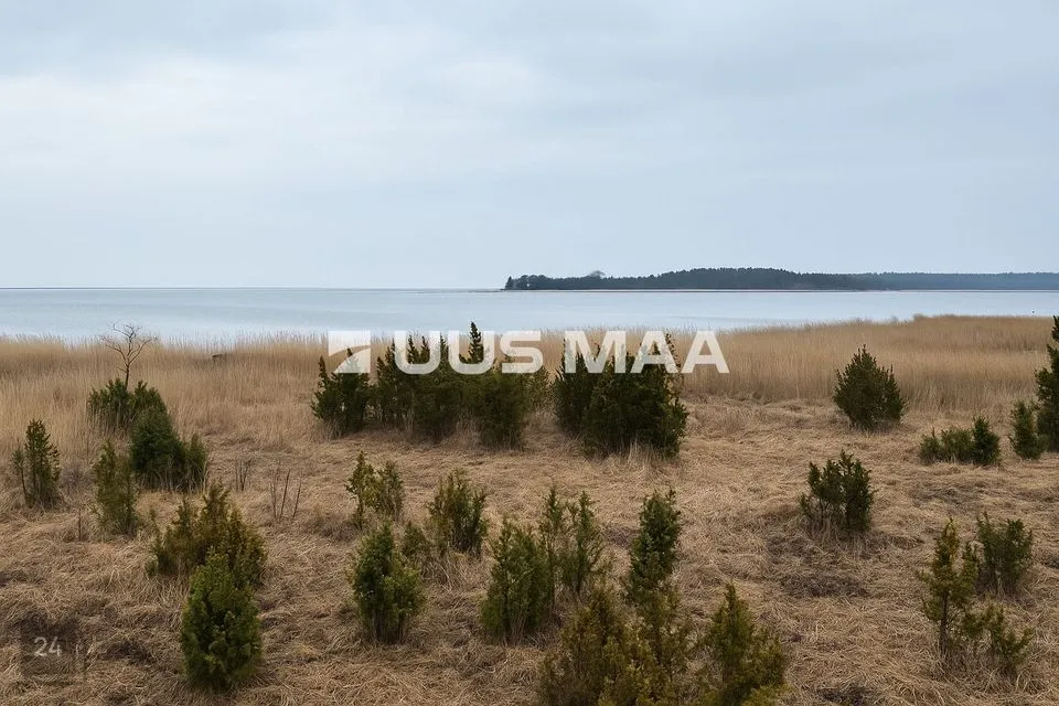 Maatulundusmaa, 23539 m² Maa  -  Lääneranna vald, Saulepi küla