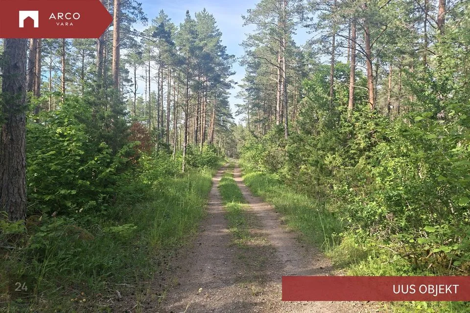 Maatulundusmaa, 25271 m² Maa  -  Saaremaa vald, Pulli küla - foto 3