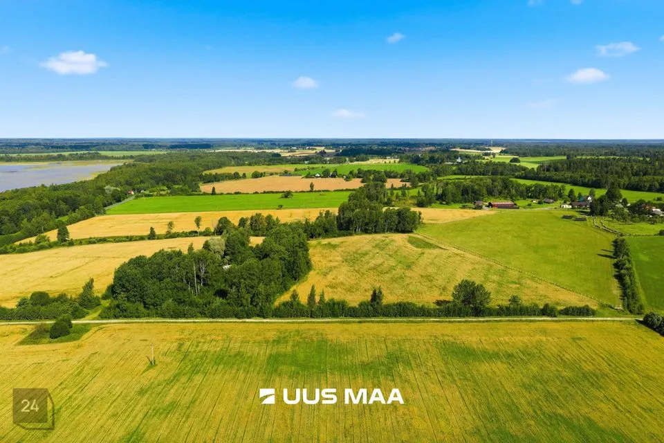 Maatulundusmaa, 37622 m² Maa  -  Pärnu linn, Männikuste küla - foto 2