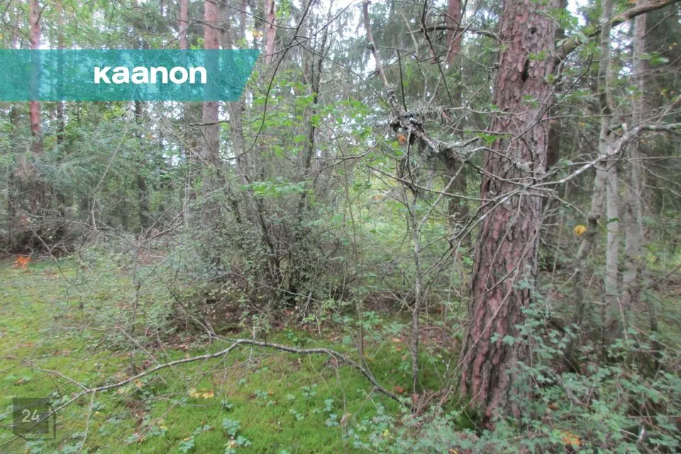 23498 m² Maa - Lääne-Harju vald, Lehola küla - foto 4