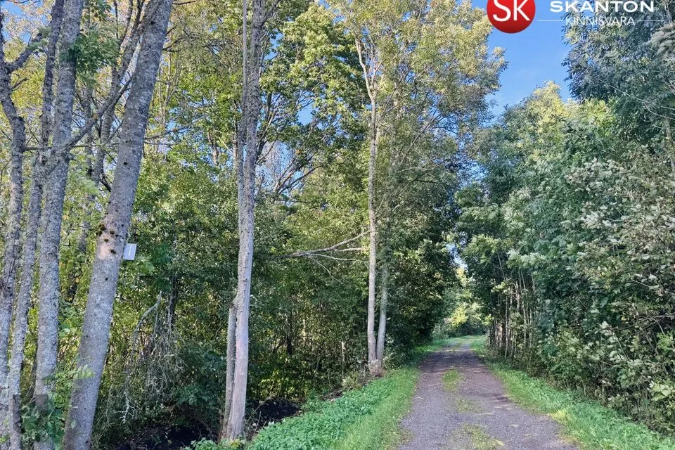 20088 m² Maa  -  Harku vald, Sõrve küla - foto 2