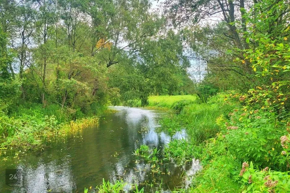 Maatulundusmaa, 60820 m² Maa  -  Tartu vald, Vasula alevik