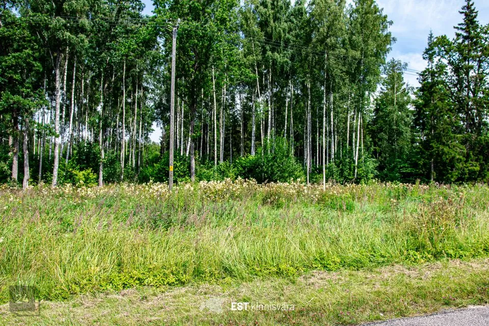 Maatulundusmaa, 10157 m² Maa - Lääneranna vald, Rädi küla - foto 3