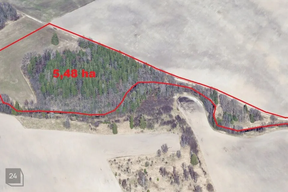 Maatulundusmaa, 54800 m² участок в Jõgeva vald, Võduvere küla - фото 4