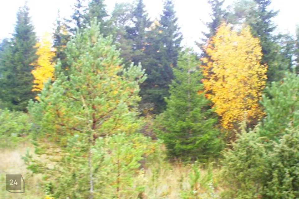 Elamumaa, 3908 m² Maa  -  Hiiumaa vald, Suuresadama küla