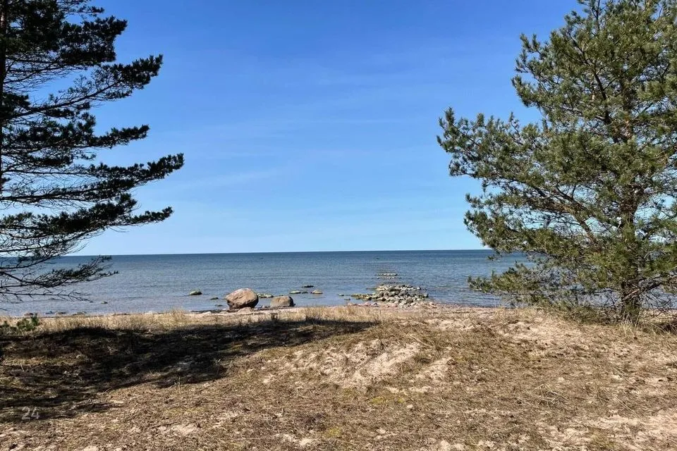 Elamumaa, 12514 m² Maa - Saaremaa vald, Murika küla - foto 3