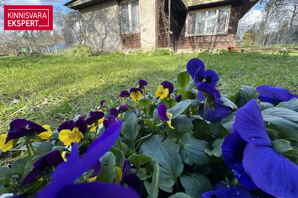 Elamumaa, 1113 m² Maa  -  Kohila vald, Aespa alevik