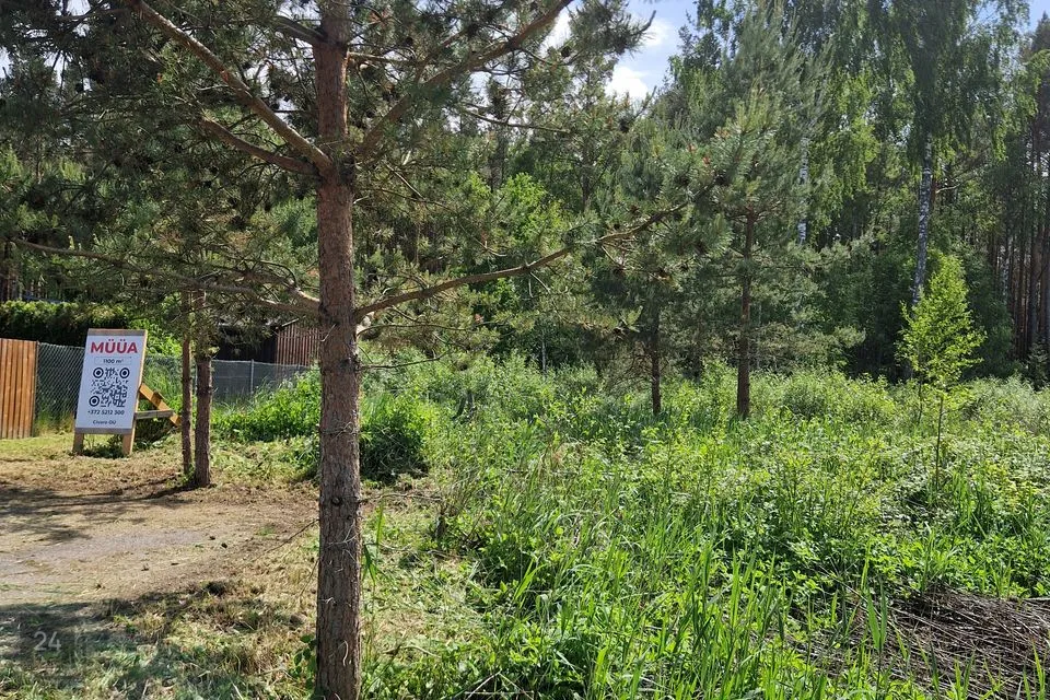 Земля жилой застройки участок в Tori vald, Eametsa küla - фото 3