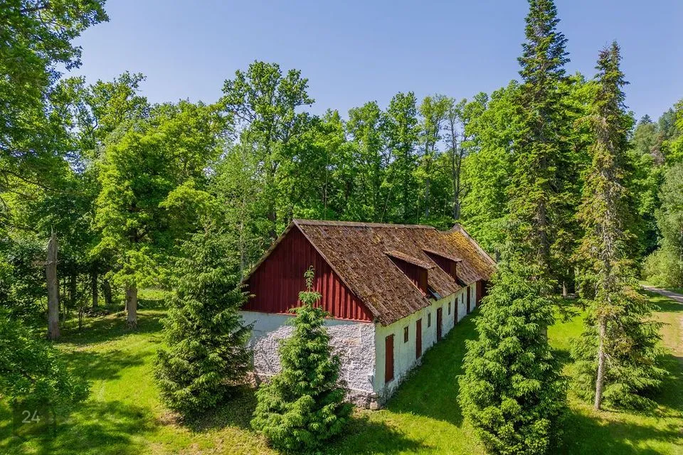 Elamumaa, 5894 m² Maa - Otepää vald, Lossiküla - foto 4