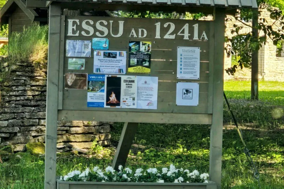 Elamumaa, 1922 m² Maa - Haljala vald, Essu küla - foto 3